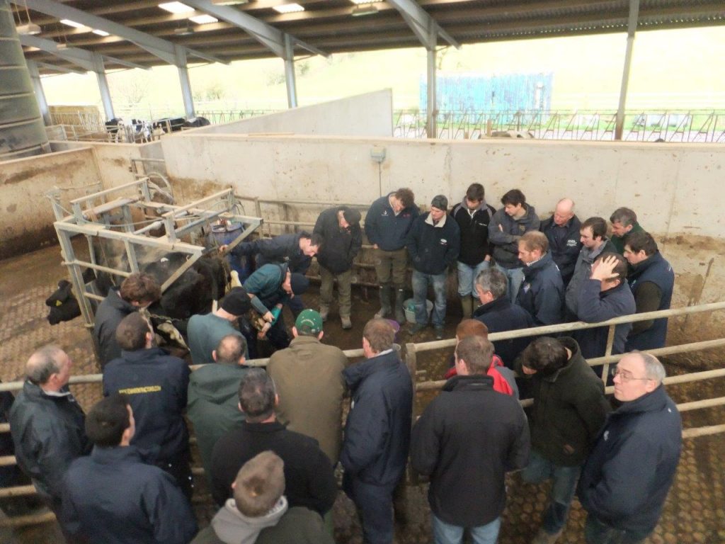 What our clients have to say 