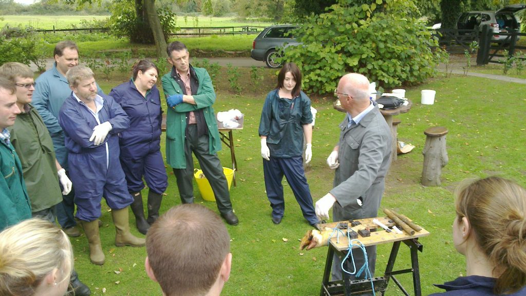 Let us know what you thought