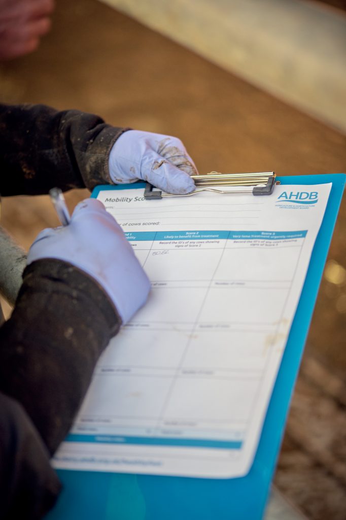 Services at Herd Health Consultancy