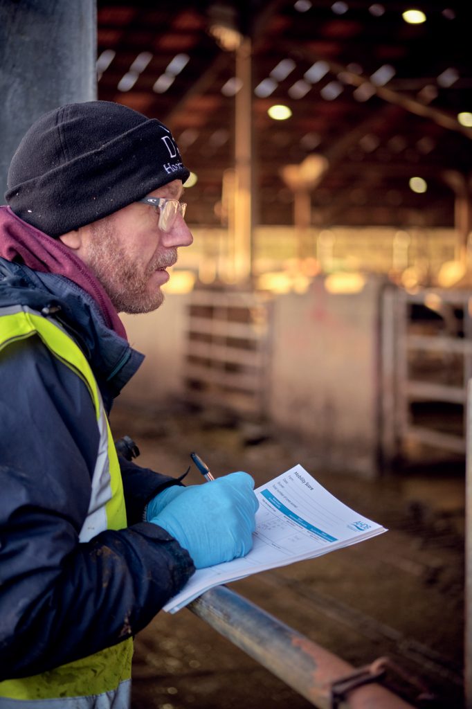 Herd health assessment and advice